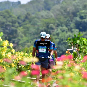 Runner Photo 5085809