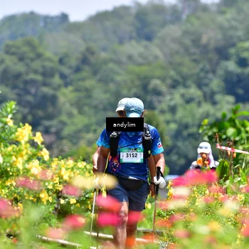 Runner Photo 5085825