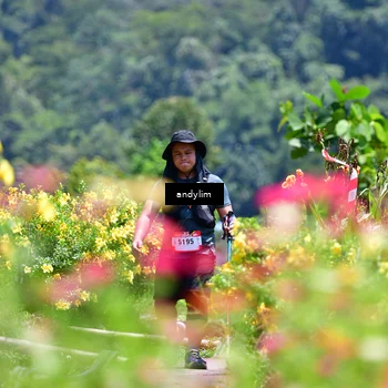 Runner Photo 5086107