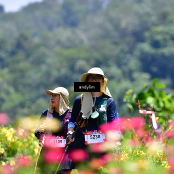 Runner Photo 5086164