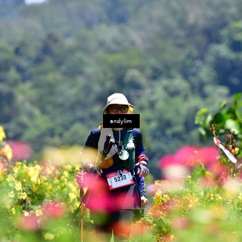 Runner Photo 5086216