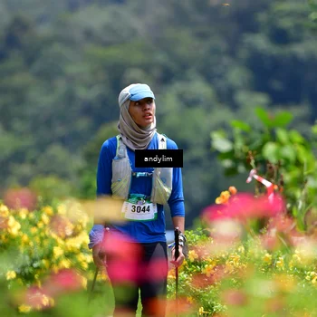Runner Photo 5086998