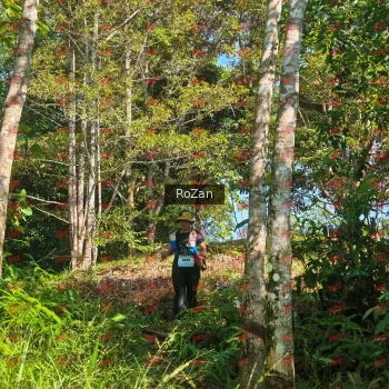 Runner Photo 5087
