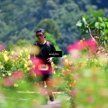 Runner Photo 5087282