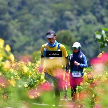 Runner Photo 5087291