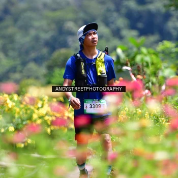 Runner Photo 5087473