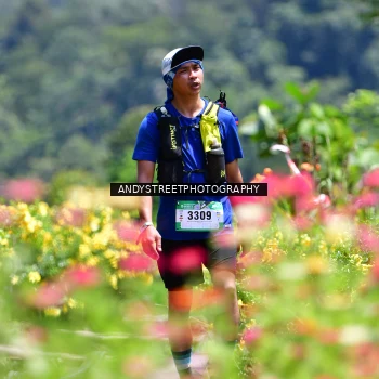 Runner Photo 5087476