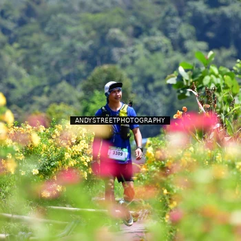 Runner Photo 5087479