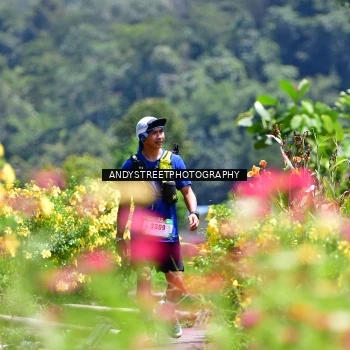 Runner Photo 5087480