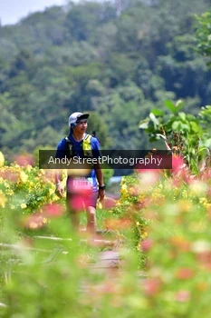 Runner Photo 5087486