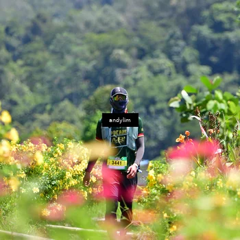 Runner Photo 5087496
