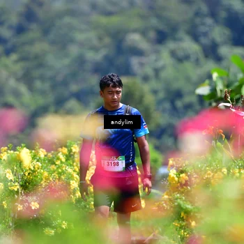 Runner Photo 5087661