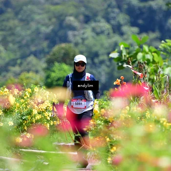Runner Photo 5087877