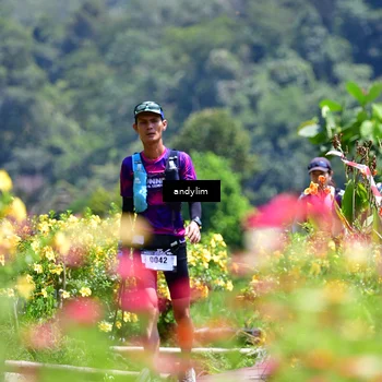 Runner Photo 5088071