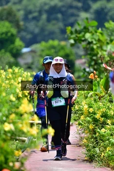 Runner Photo 5090159