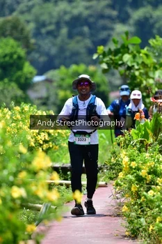 Runner Photo 5090160