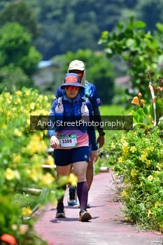 Runner Photo 5090164