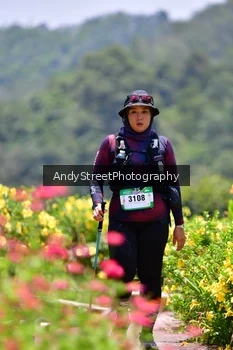 Runner Photo 5090220