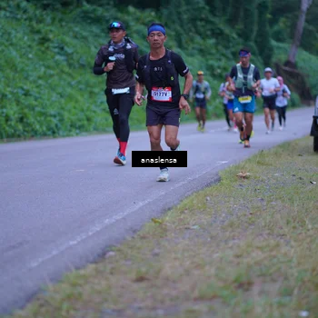 Runner Photo 5090249
