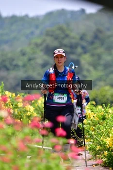 Runner Photo 5090406