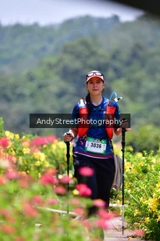 Runner Photo 5090408