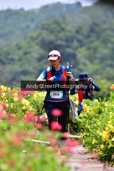 Runner Photo 5090415