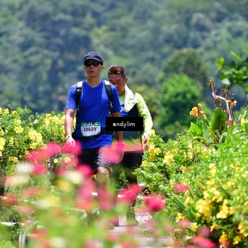 Runner Photo 5090492