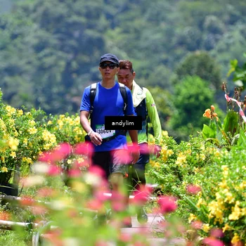 Runner Photo 5090514