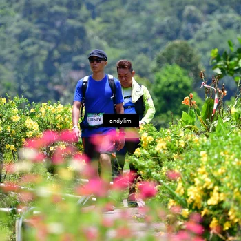 Runner Photo 5090531