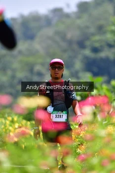 Runner Photo 5090593