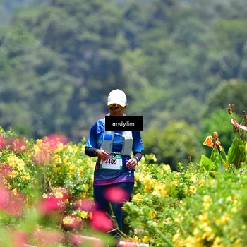 Runner Photo 5090754
