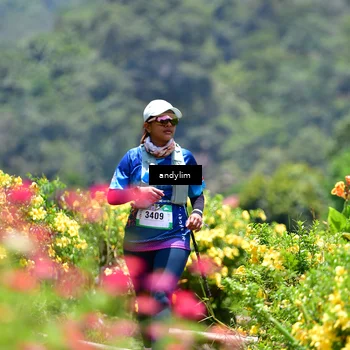 Runner Photo 5090815