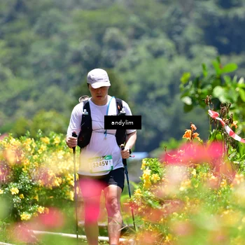 Runner Photo 5090854
