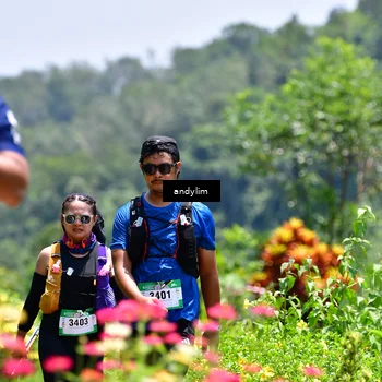 Runner Photo 5091248
