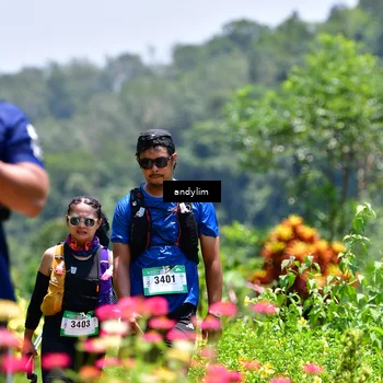 Runner Photo 5091251