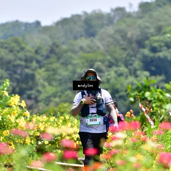 Runner Photo 5091330