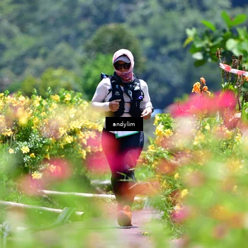 Runner Photo 5091430