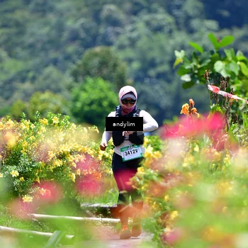 Runner Photo 5091434