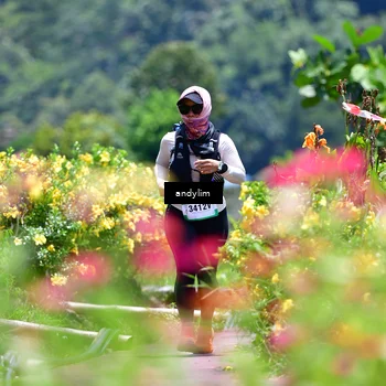 Runner Photo 5091437