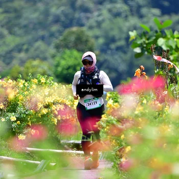 Runner Photo 5091470