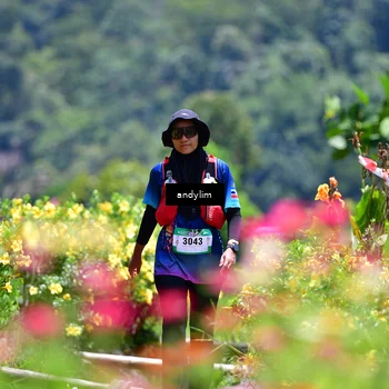 Runner Photo 5091524