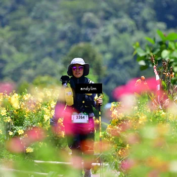 Runner Photo 5091790