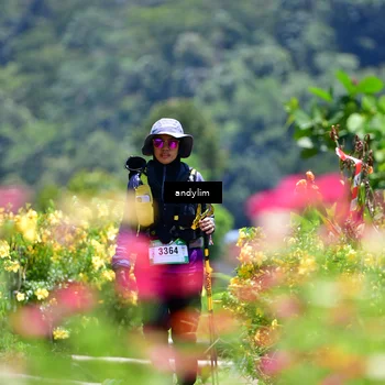 Runner Photo 5091808