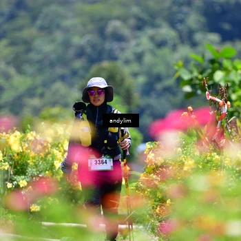 Runner Photo 5091810