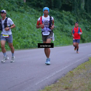 Runner Photo 5091826