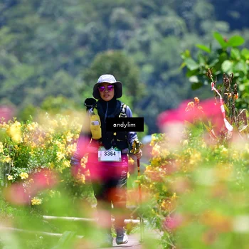 Runner Photo 5091827