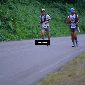 Runner Photo 5091831
