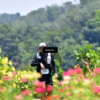 Runner Photo 5091846
