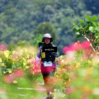 Runner Photo 5091851
