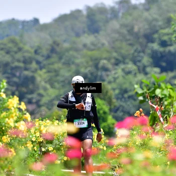 Runner Photo 5091869